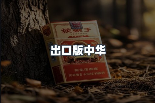 出口版中华